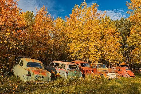 Canada-Manitoba-St Lupicin Vintage old vehicles in wrecking yard